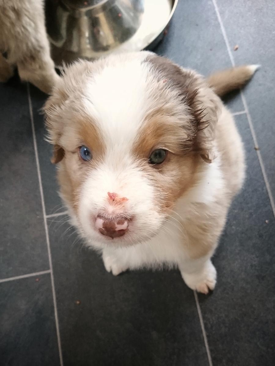 2018-week-6-gijs