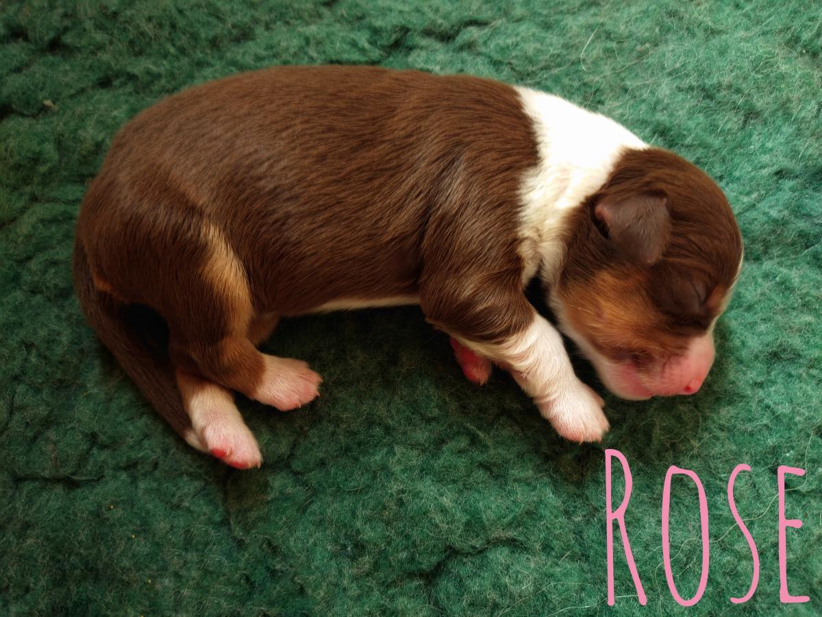 2020-week-1-ruby