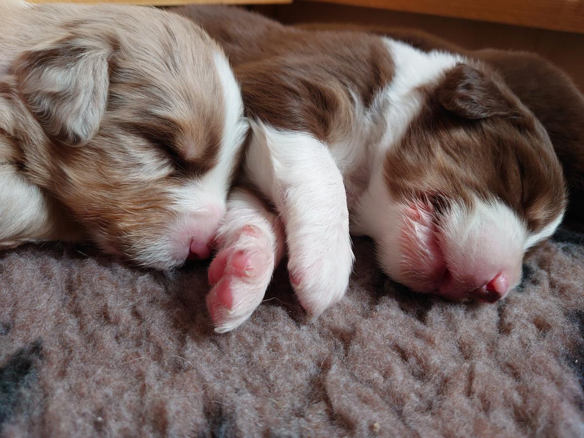 2020-week-3-charlie-clint