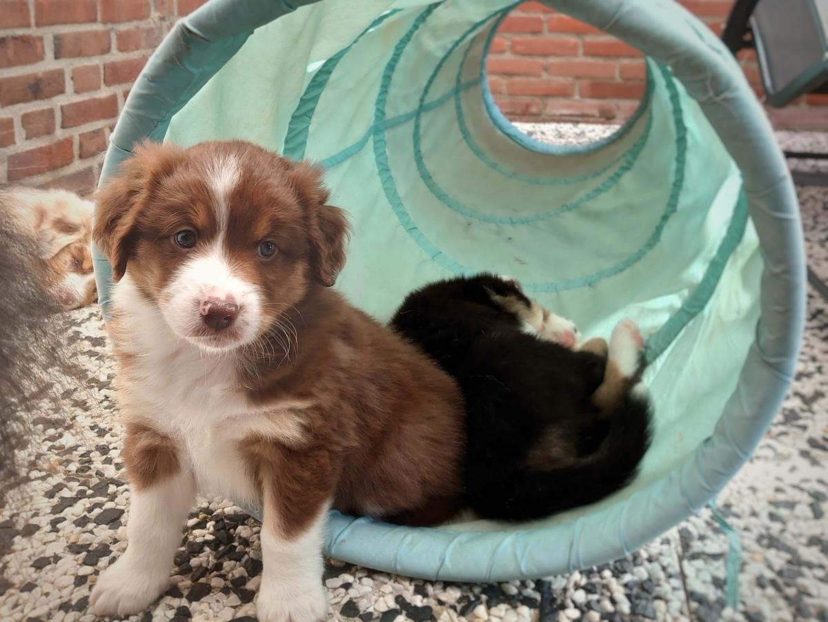 2020-week-6-charlie