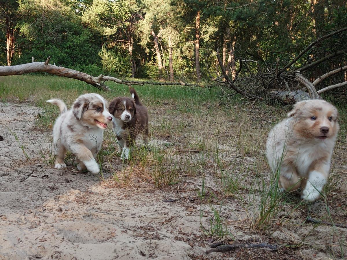 2020-week-8-clint-charlie-denver