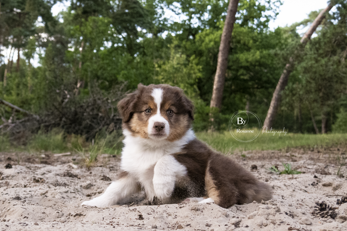 2020-week-8-ruby